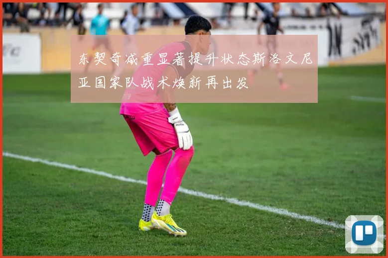 东契奇减重显著提升状态斯洛文尼亚国家队战术焕新再出发